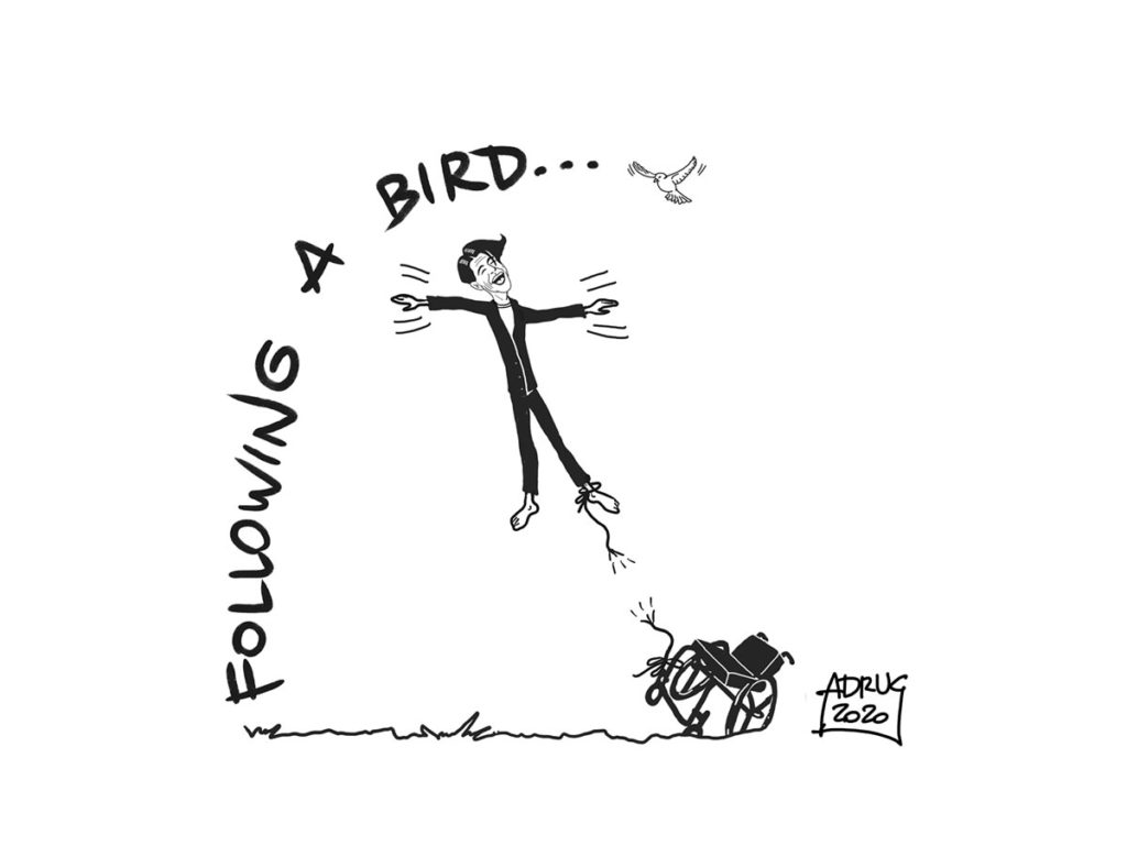 Following a bird